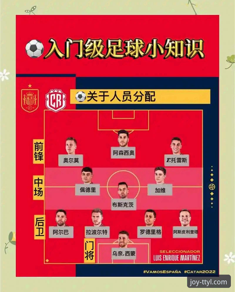 天天娱乐安卓版安装失败 从波黑点球淘汰意大利看体育赛事的观赛实用指南